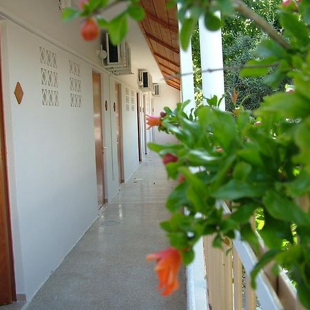 George'S Apartment Agia Marina  Room photo