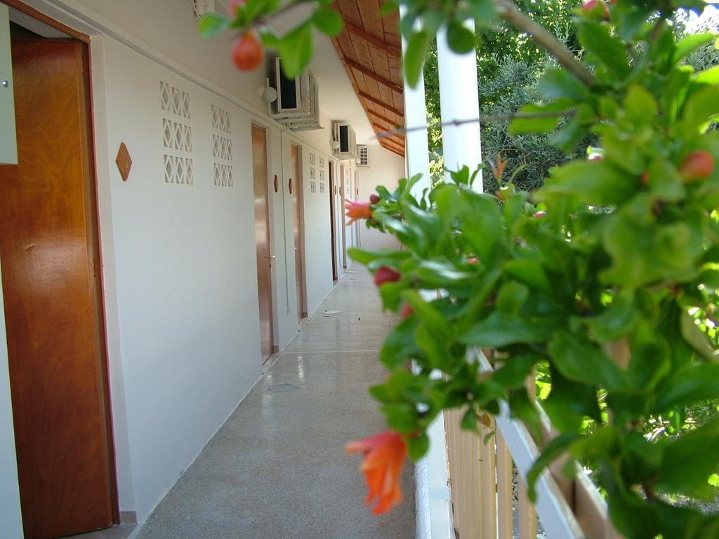 George'S Apartment Agia Marina  Room photo
